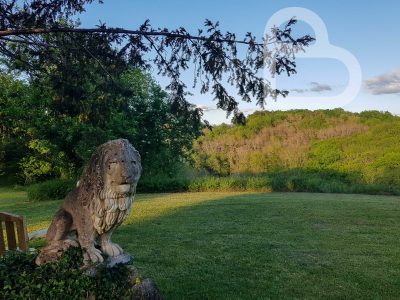 20210510_201458-2