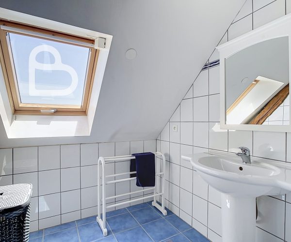 Afbeelding 408-2