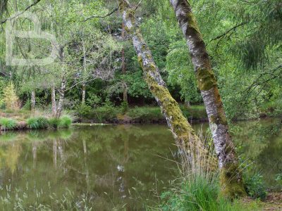 DSC_8835-2