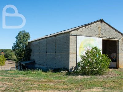 DSC_9507