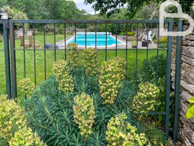 Foto 24-01-2026 om 11.23-2