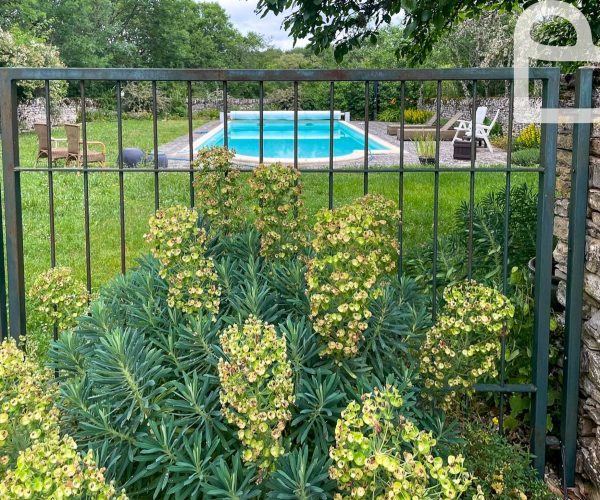 Foto 24-01-2026 om 11.23-2