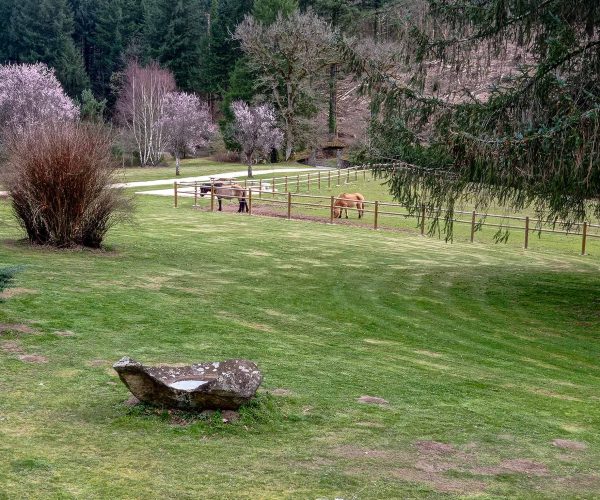 IMG_20230322_162811-2