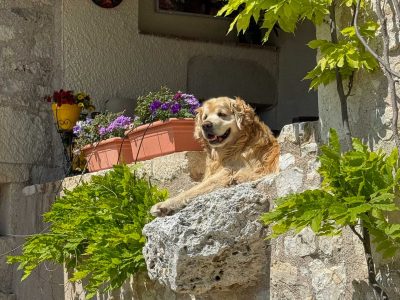 IMG_2903-4