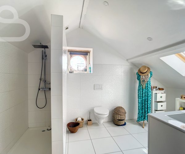 Maison 6 pièces 250 m² · à Salviac · 250 m² · 598 500 €
